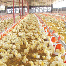 Automatic Full Set Poultry Equipment for Broiler